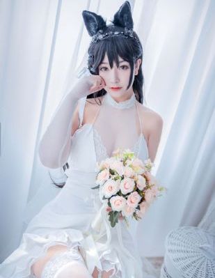 新员工韩剧电视剧免费