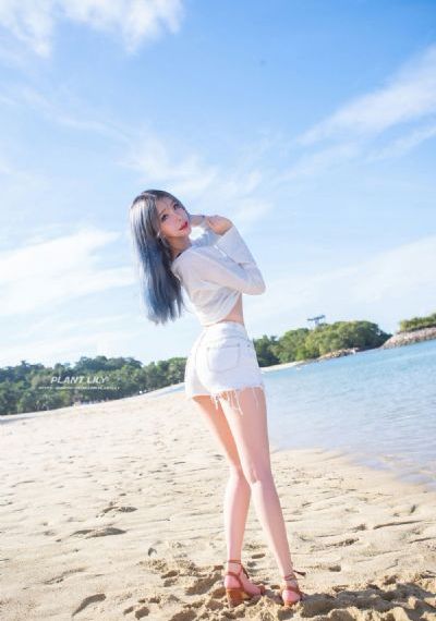 乱世飘萍电视剧免费观看全集