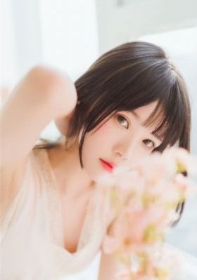 韩国芸能19集在线1313